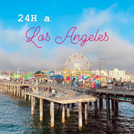 visitare i punti iconici di LOS ANGELES in sole 24 ore