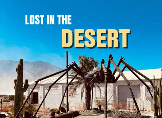 PERSI NEL DESERTO DELLA CALIFORNIA